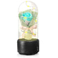 Creative 2 In 1 Bouquet LED Light And Bluetooth-compatible Speaker Mother's Day Gift Rose Luminous Night Light Ornament In Glass Cover