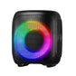 Karaoke Machine For Adults 4 In Portable Bluetooth Speaker 2 Wireless Microphone