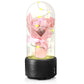Creative 2 In 1 Bouquet LED Light And Bluetooth-compatible Speaker Mother's Day Gift Rose Luminous Night Light Ornament In Glass Cover