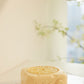 Cheese Speaker - Bluetooth Wireless Speaker - Green- Yellow